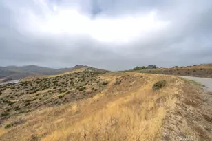33330 Palen, Agua Dulce, CA 91350 - Photo 44