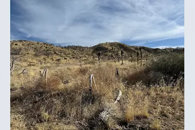 0 200, Llano, CA 93544 - Photo 36