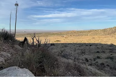 0 200, Llano, CA 93544 - Photo 60