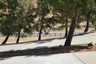 39030 Bouquet Canyon, Leona Valley, CA 93551 - Photo 64