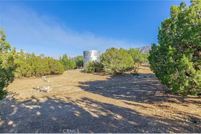 29520 Piani, Pearblossom, CA 93553 - Photo 6