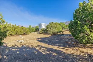 29520 Piani, Pearblossom, CA 93553 - Photo 6