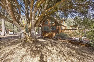 16008 Edgewood, Pine Mountain Club, CA 93222 - Photo 44