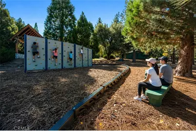 16421 Grizzly Drive, Pine Mountain Club, CA 93222 - Photo 46
