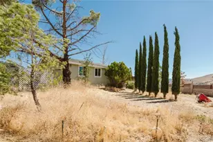 403 Cuddy Canyon Rd, Lebec, CA 93243 - Photo 44