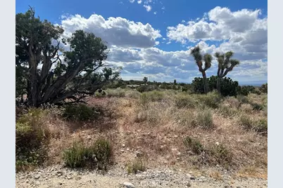 223 Avenue Y14, Llano, CA 93544 - Photo 46