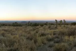 223 Ave Y14, Llano, CA 93544 - Photo 1