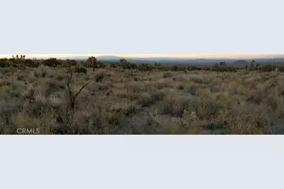 223 Avenue Y14, Llano, CA 93544 - Photo 2