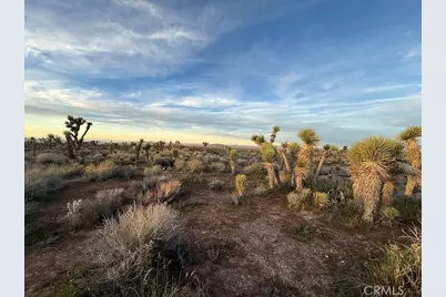 0 Ave X/220, Llano, CA 93544 - Photo 48