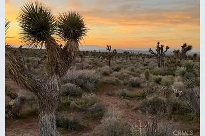 0 Ave X/220, Llano, CA 93544 - Photo 12