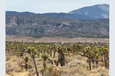 0 Ave X/220, Llano, CA 93544 - Photo 16