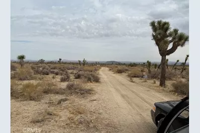 0 Ave X/220, Llano, CA 93544 - Photo 6