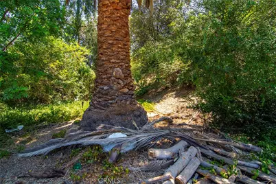 5614 Oso Avenue, Woodland Hills, CA 91367 - Photo 22