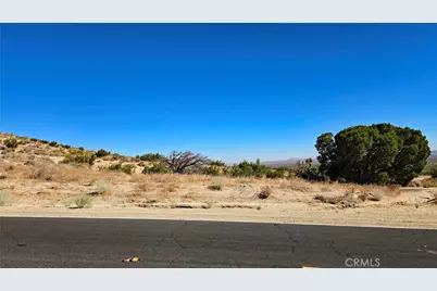 0 Cor Avenue W8 & 123rd St E, Pearblossom, CA 93553 - Photo 10