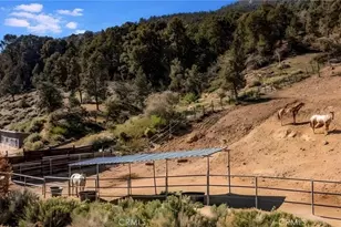 1913 Pioneer Way, Pine Mountain Club, CA 93222 - Photo 30