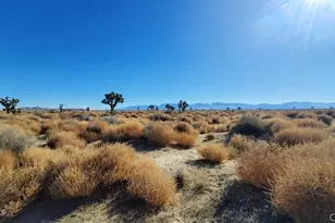 0 Vicinity Ave L2 & 77th E, Palmdale, CA 93535 - Photo 1