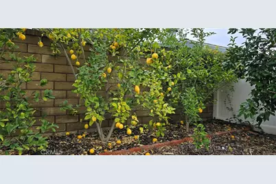 24943 Chestnut, Newhall, CA 91321 - Photo 60