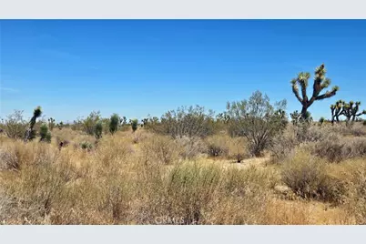 0 Vicinity Avenue X4 & 231st E, Llano, CA 93544 - Photo 2