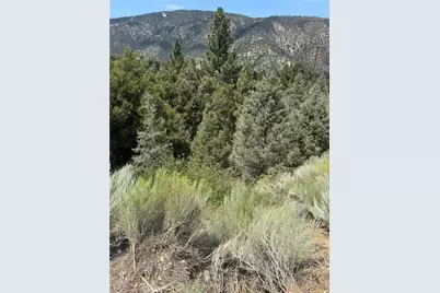 1824 Pioneer Way, Pine Mountain Club, CA 93222 - Photo 6