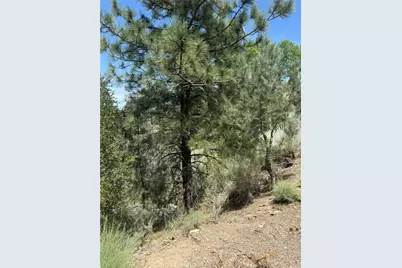 1824 Pioneer Way, Pine Mountain Club, CA 93222 - Photo 4