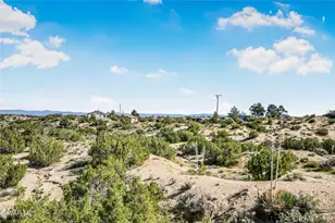 31720 96th St E, Littlerock, CA 93543 - Photo 30