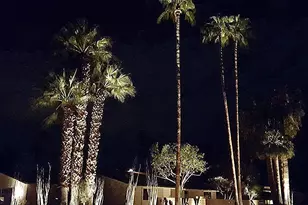 1200 S Manzanita Ave, Palm Springs, CA 92264 - Photo 1