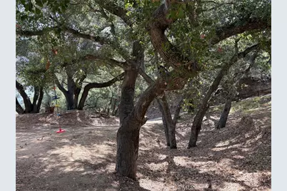 21313 Hillside, Topanga, CA 90290 - Photo 14
