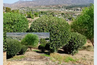 17332 Mount Stephen Avenue, Canyon Country, CA 91387 - Photo 26