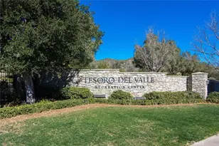29370 Las Brisas, Valencia, CA 91354 - Photo 50
