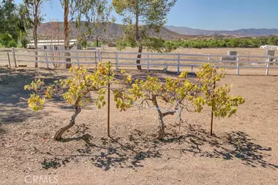 35502 Voss Road, Agua Dulce, CA 91390 - Photo 42