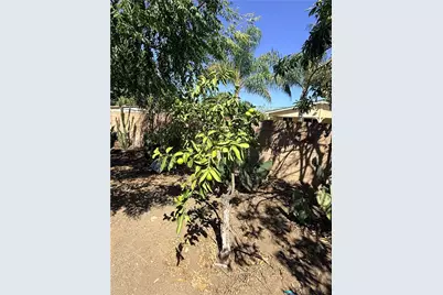 10416 Cayuga, Pacoima, CA 91331 - Photo 12