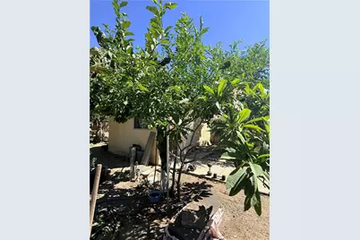 10416 Cayuga, Pacoima, CA 91331 - Photo 6