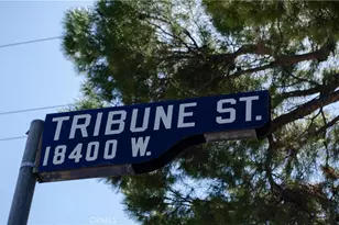 18408 Tribune St, Porter Ranch, CA 91326 - Photo 48
