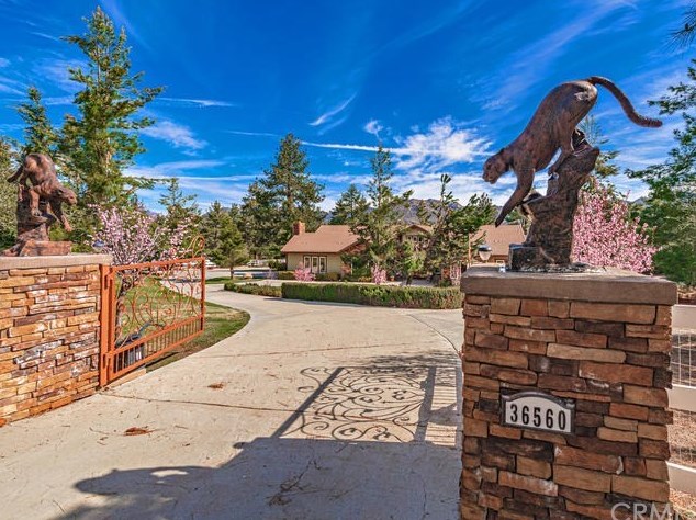 36560 Lion Peak Rd, Pinyon Pines, CA 92561-4051