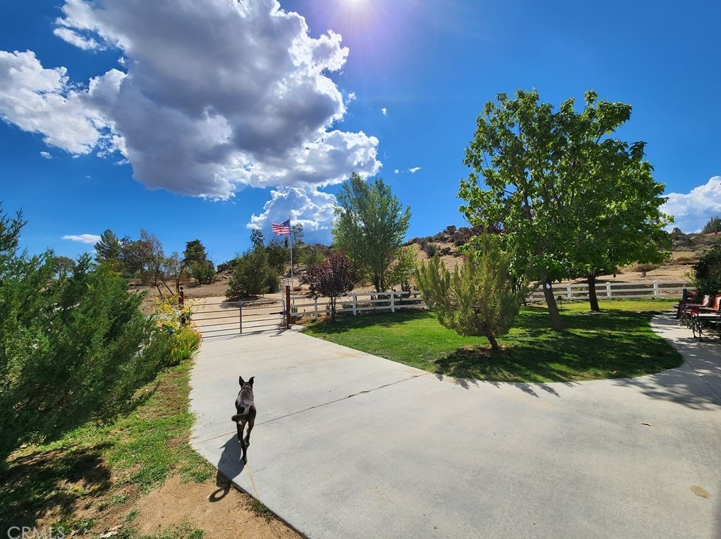 41277 Saddleback Dr, Aguanga, CA 92536-9704