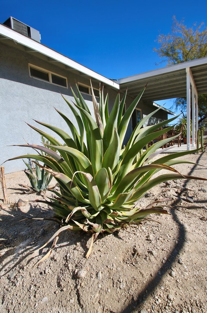 6664 Split Rock Ave, Twntynine Plm CA  92277-3256 exterior