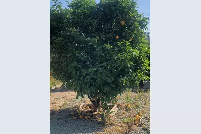 26032 Seaforthia Palm Drive, Homeland, CA 92548 - Photo 8