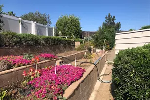 26032 Seaforthia Palm Dr, Homeland, CA 92548 - Photo 4