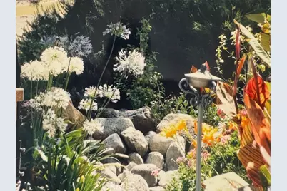 45525 Highway 79 Site 205, Aguanga, CA 92536 - Photo 14