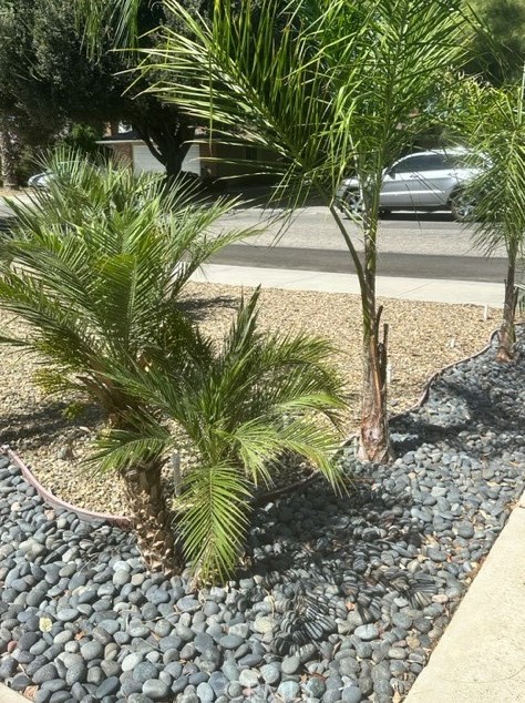 912 Malaga Pl, Hemet, CA 92543-7023