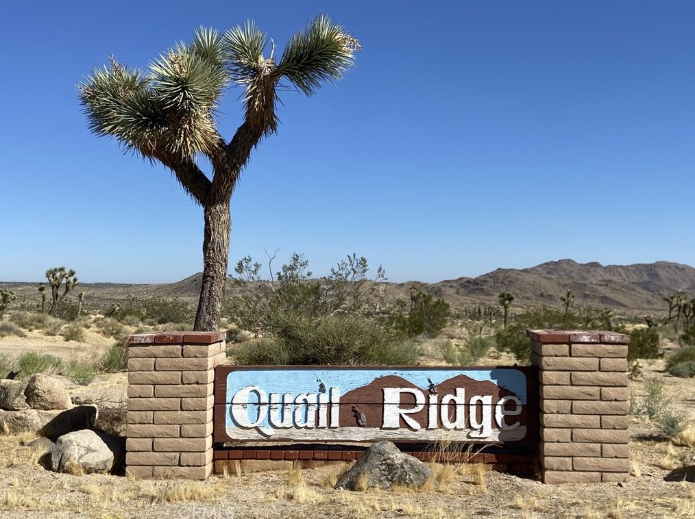 60187 Chesapeake Dr, Joshua Tree, CA 92252