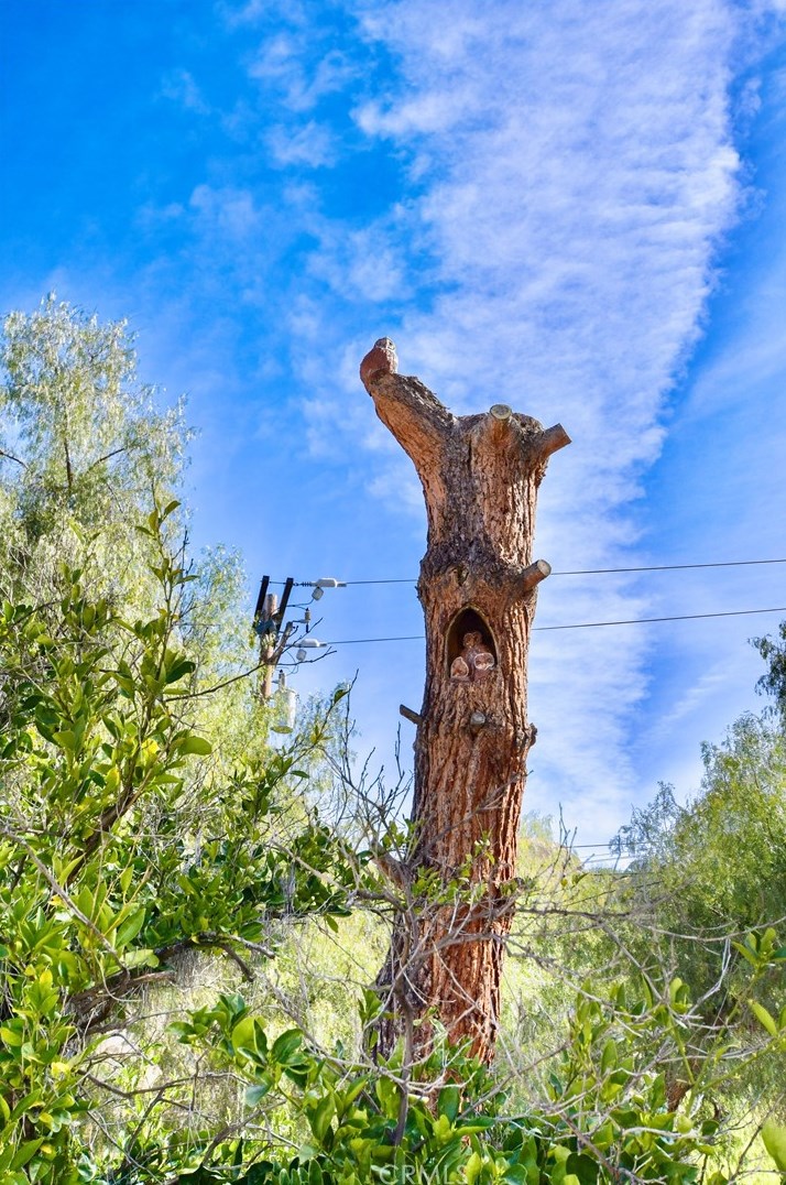 27735 Pachea Trl, Hemet CA  92544-8161 exterior