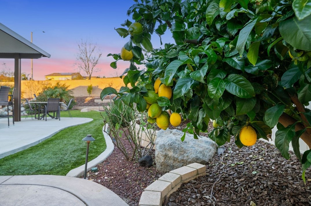 35554 Laurel Tree Ct, Winchester CA  92596-8476 exterior