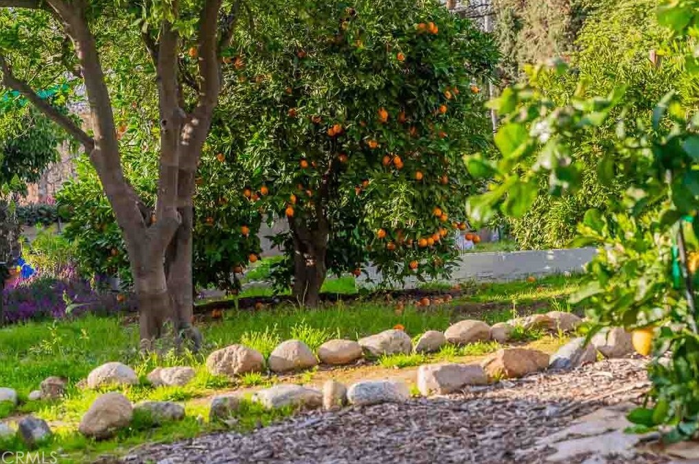 24 Center St, Redlands CA  92373-8102 exterior