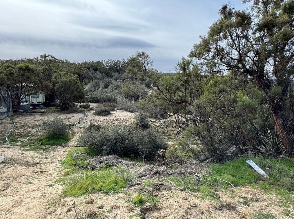 39615 Meyers Ln, Anza CA  exterior