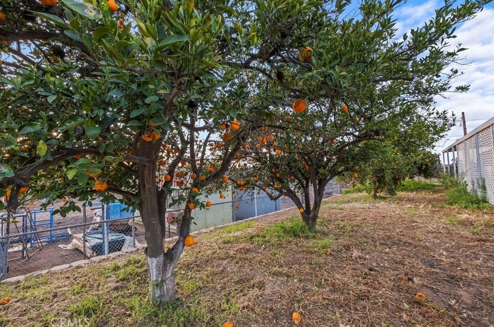 23315 Estrella Ln, Perris CA  92570-8917 exterior