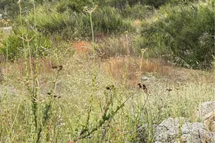 0 Voyager Rd, Temecula, CA 92592 - Photo 2