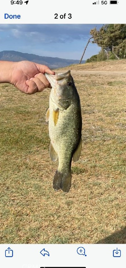 41917 Lakefront Dr, Aguanga CA  92536-9523 exterior