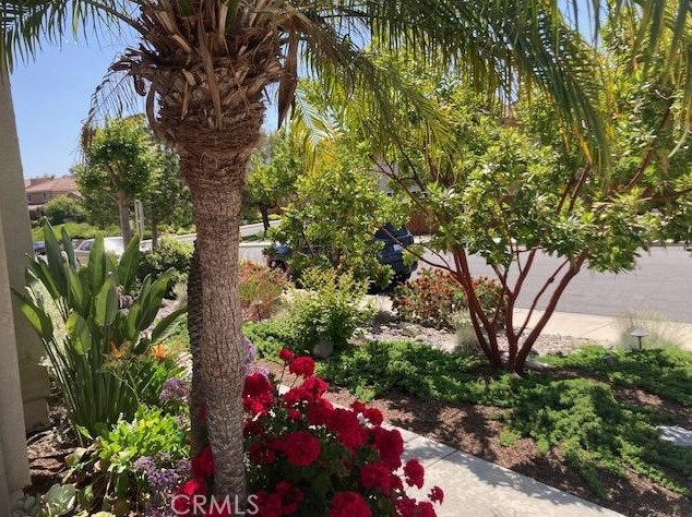 31525 Royal Oaks Dr, Temecula, CA 92591-7932