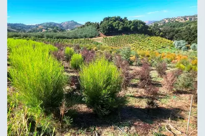 16 Sandia Creek Drive, Temecula, CA 92590 - Photo 10